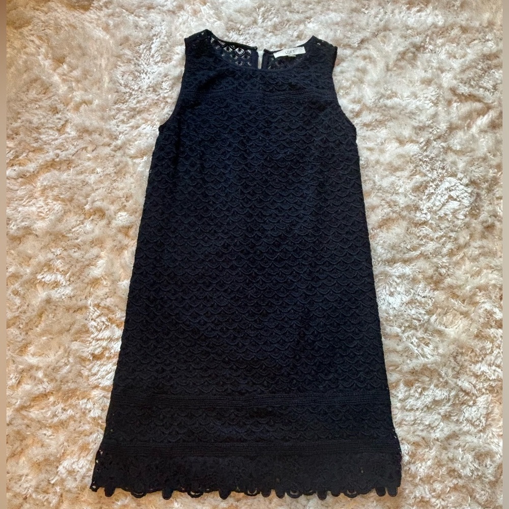 LOFT Navy Lace Sleeveless Dress
